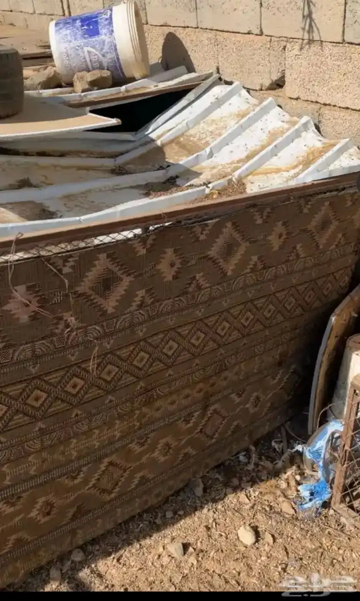 شبوك طيور للبيع 0