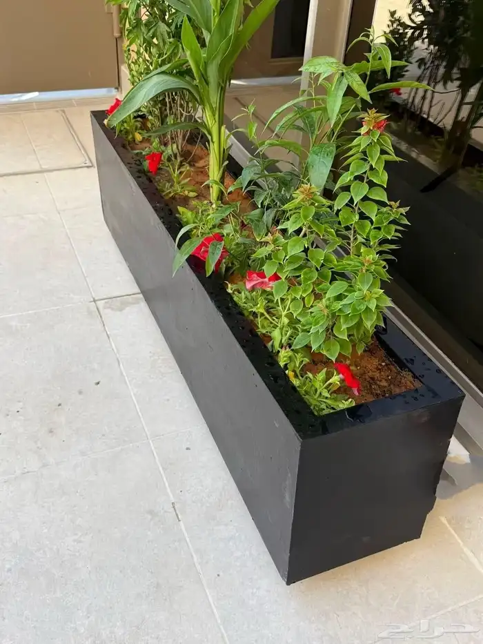 احواض فايبر جلاس احواض زراعة احواض بلاستيك 0