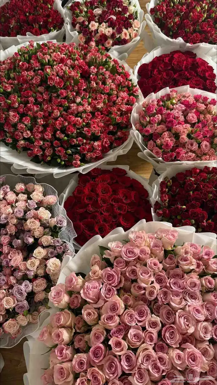 ورد هدايا باقات بوكيهات هدايا باقات كبيره بيبي روز ورد هدايا 6