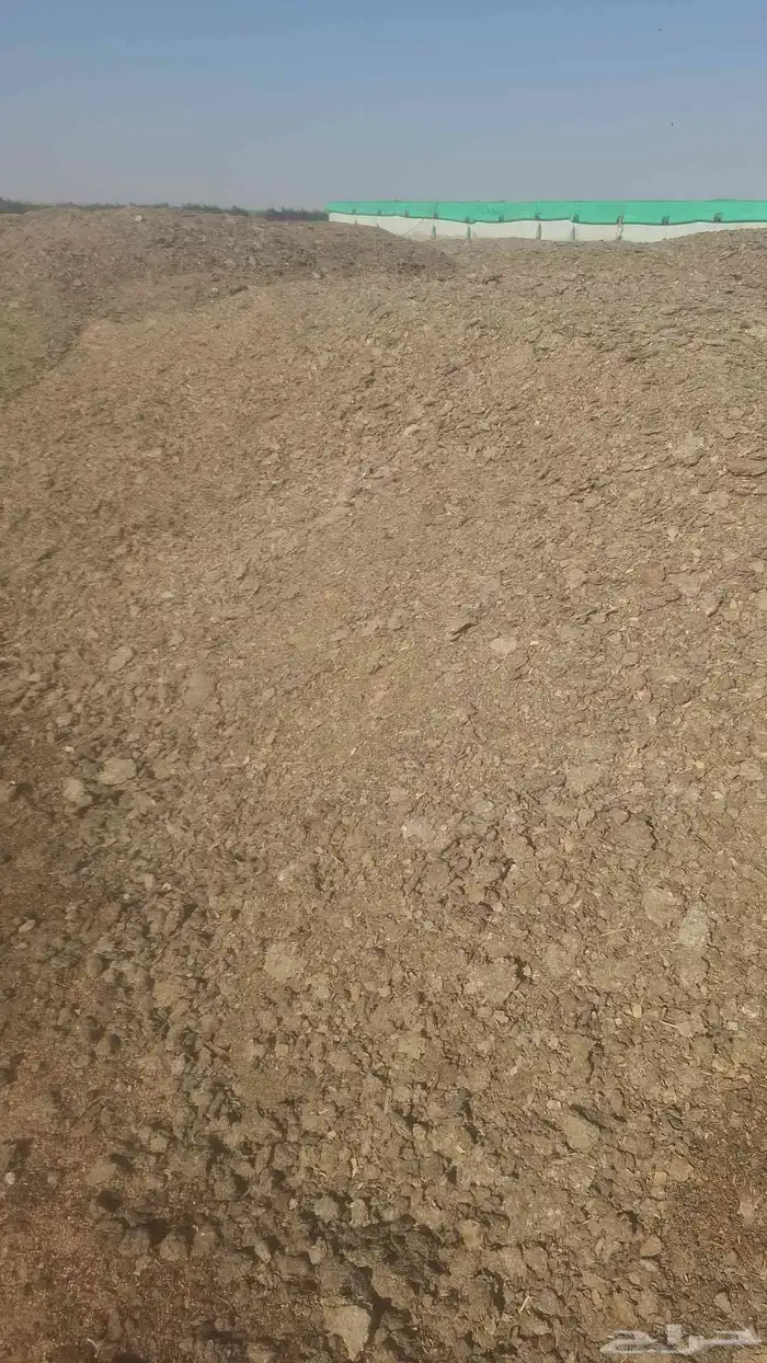 القصيم بريده المذنب ساجر شقراء المجمعة القصب الدوادمي الزلفي 1