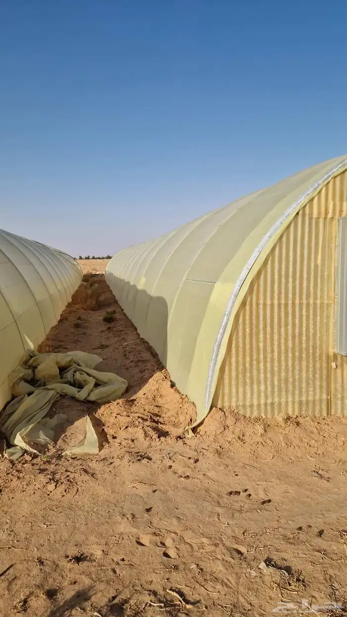 بيوت محميه للبيع 0