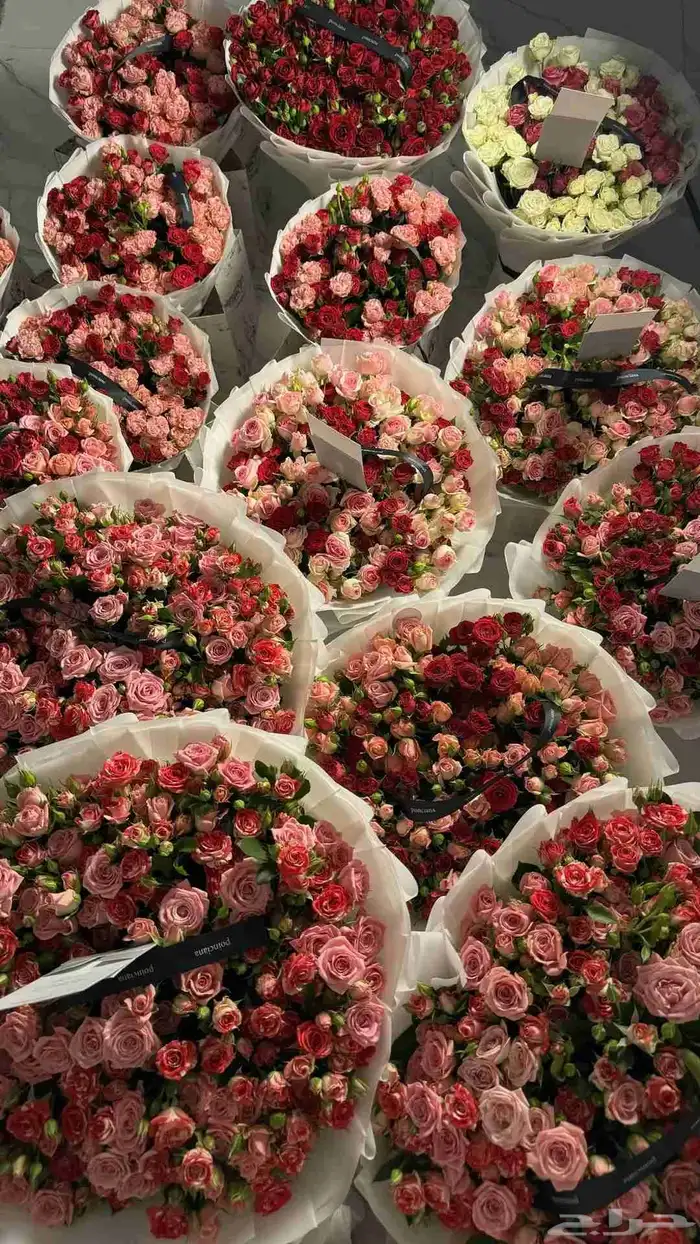 ورد هدايا باقات بوكيهات هدايا باقات كبيره بيبي روز ورد هدايا 1