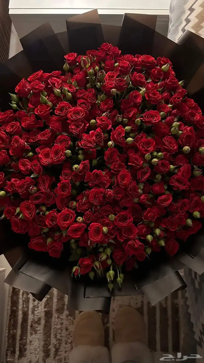 ورد هدايا باقات بوكيهات هدايا باقات كبيره بيبي روز ورد هدايا 4