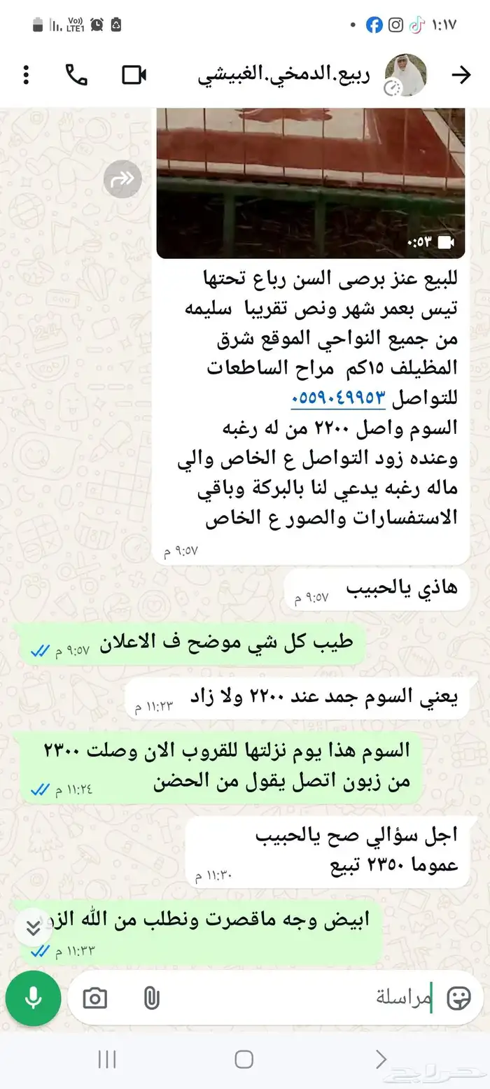 عنز برصى تحتها تيس 6