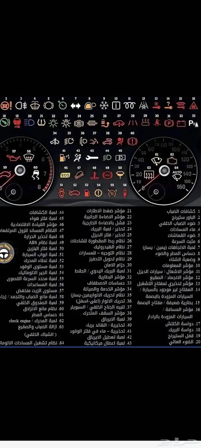 مدرب قياده 0