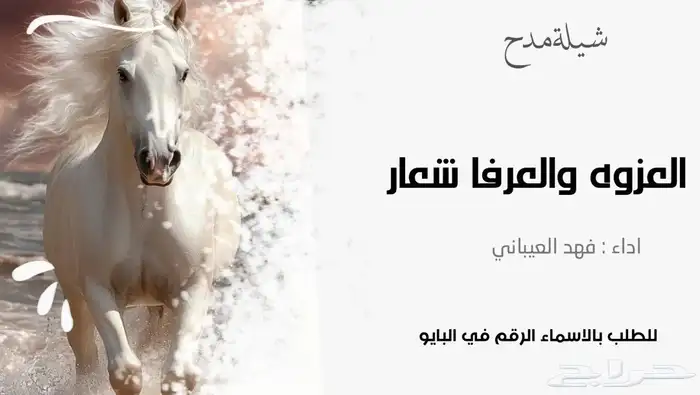 استديو تنسيق شيلات وزفات 3