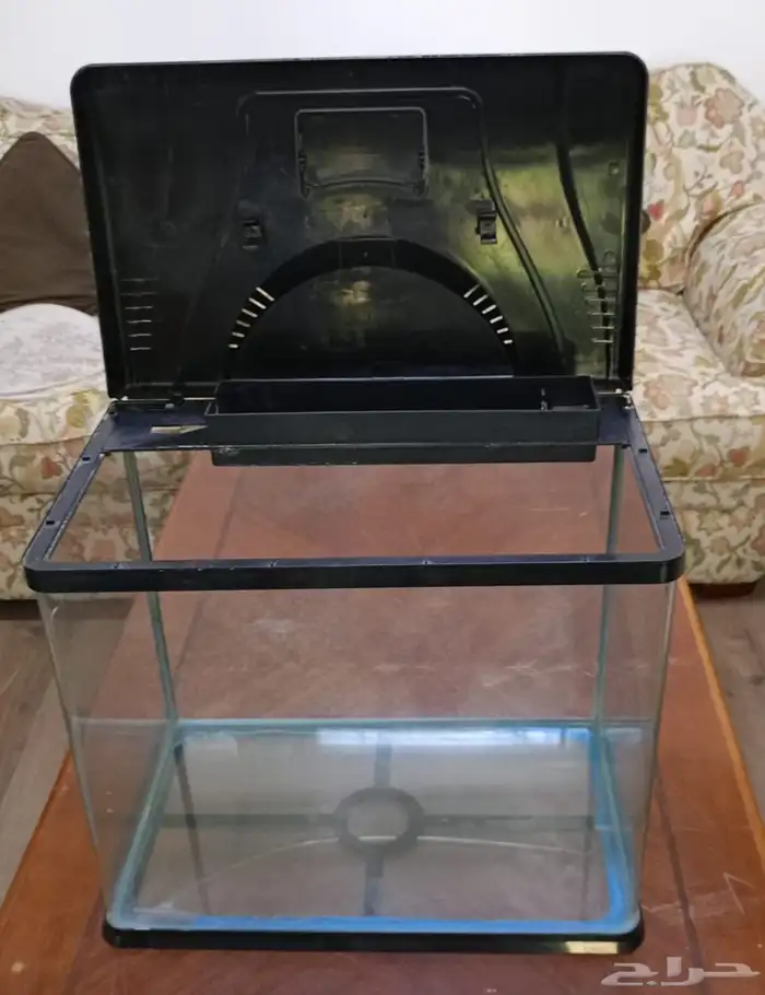 حوض تربية اسماك 1