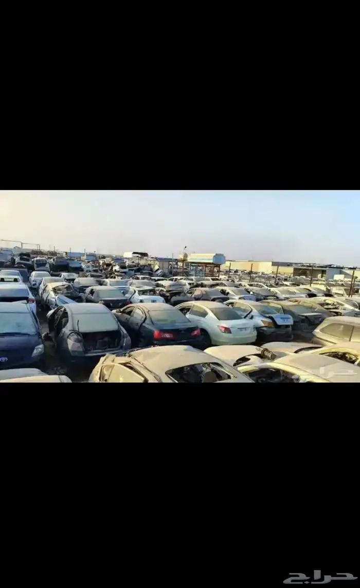 مندوب تشليح الحائر - السلي 0