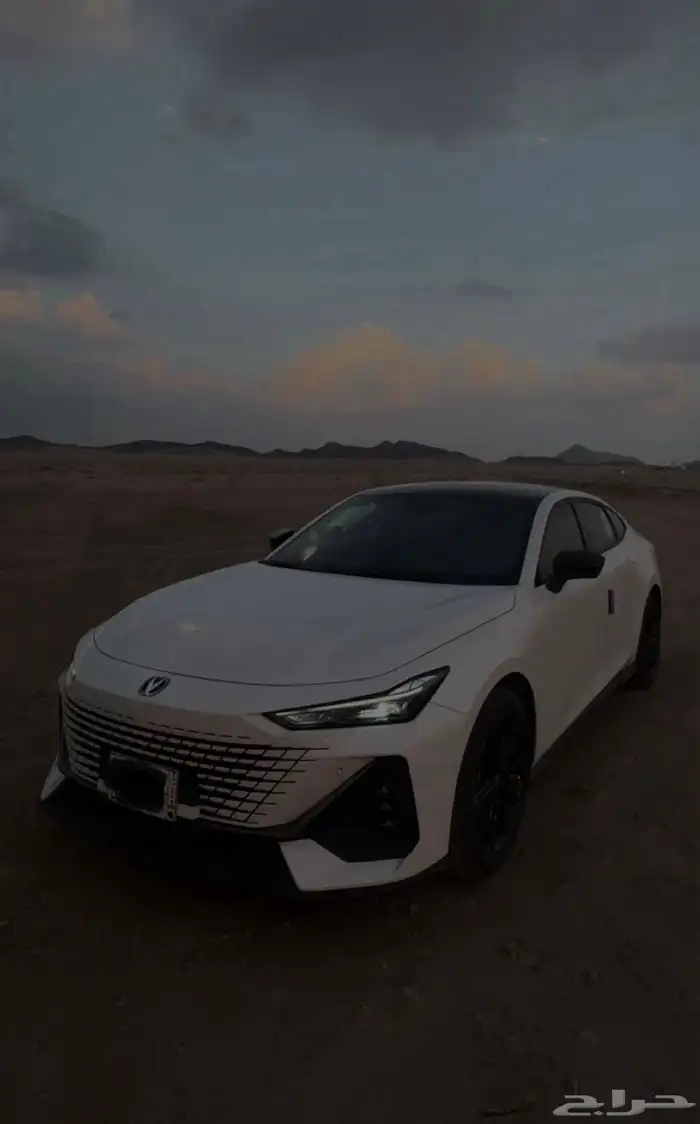 يوني في ايلت 2025 ماشي 15 ألف 1