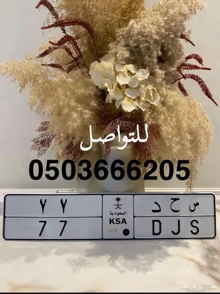 لوحة مميزة 77 0