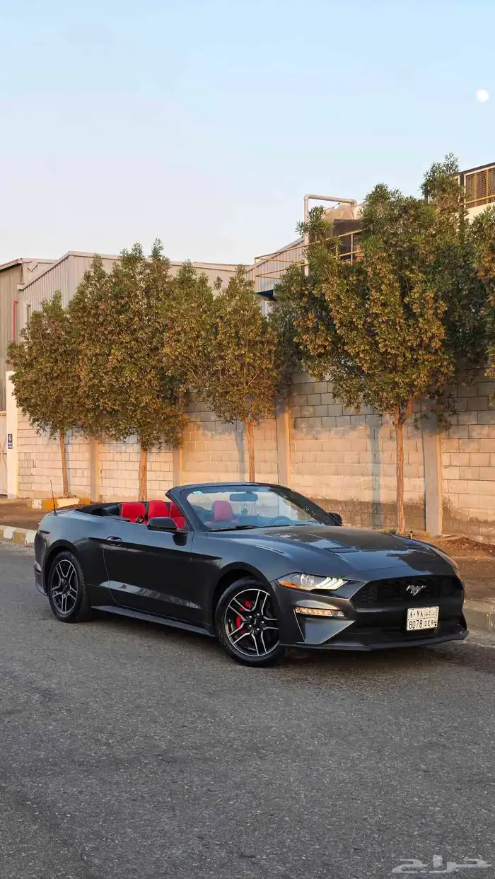 موستنج ايكوبوست V4 كشف 2020 نسخة ( 55 عام ) نضيف 3