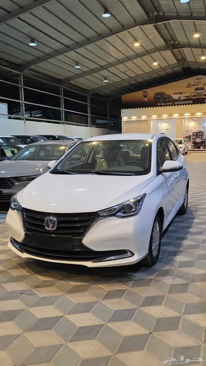 شنجان ال سفن استاندر 2026 1