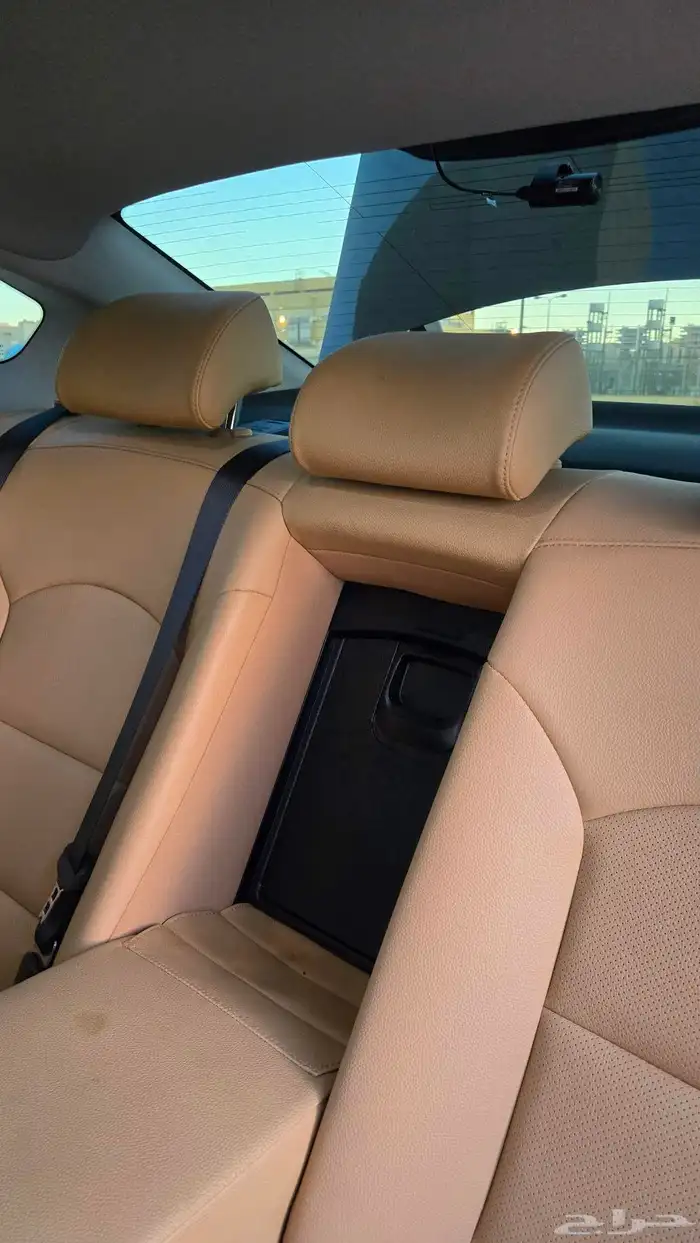 كادينزا 2020 k7 17