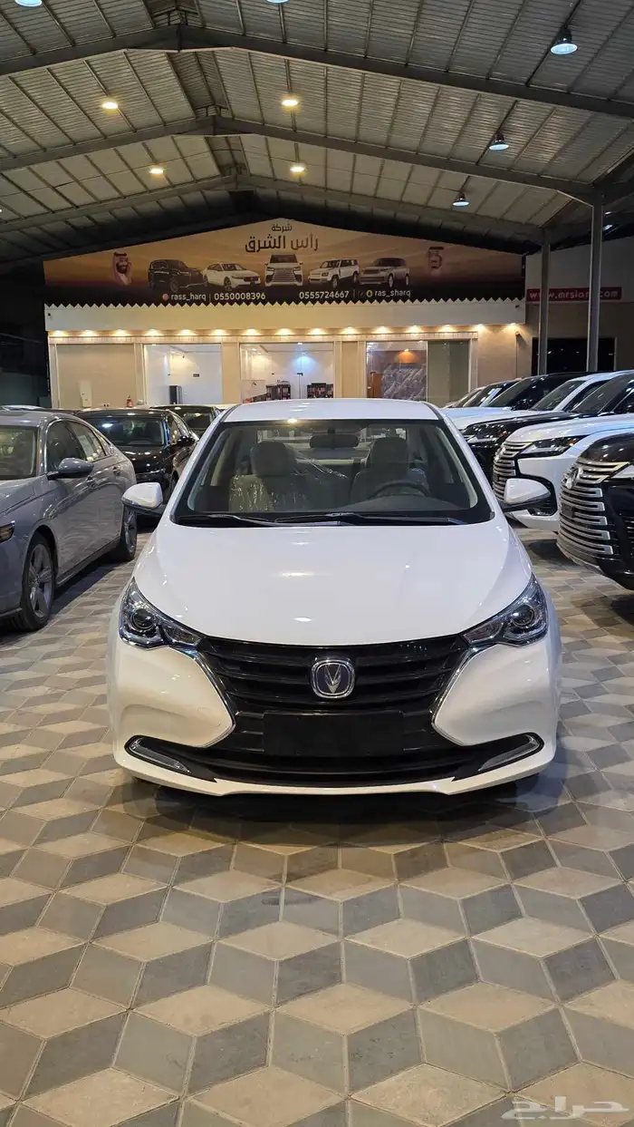 شنجان ال سفن استاندر 2026 0