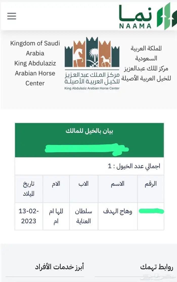 للبيع خيل عربي موثق   مولود 2023 3