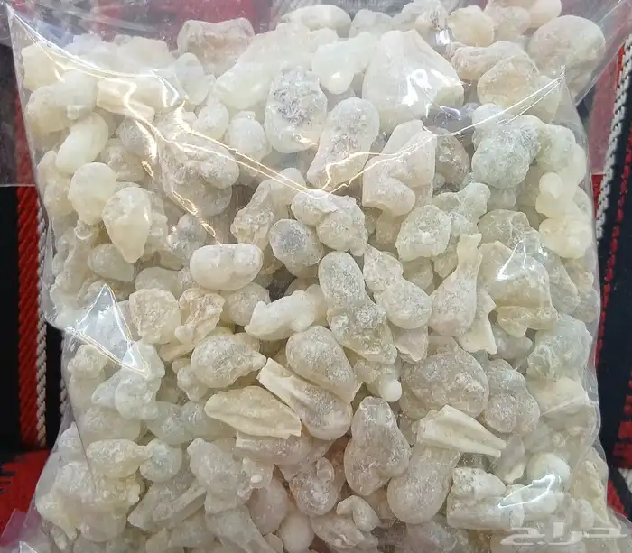 لبان عماني حوجري رقم1 0