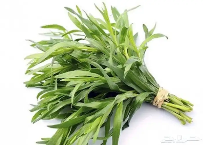 حبق ودوش وإكليل الجبل وميرميه طازه وجاف 0