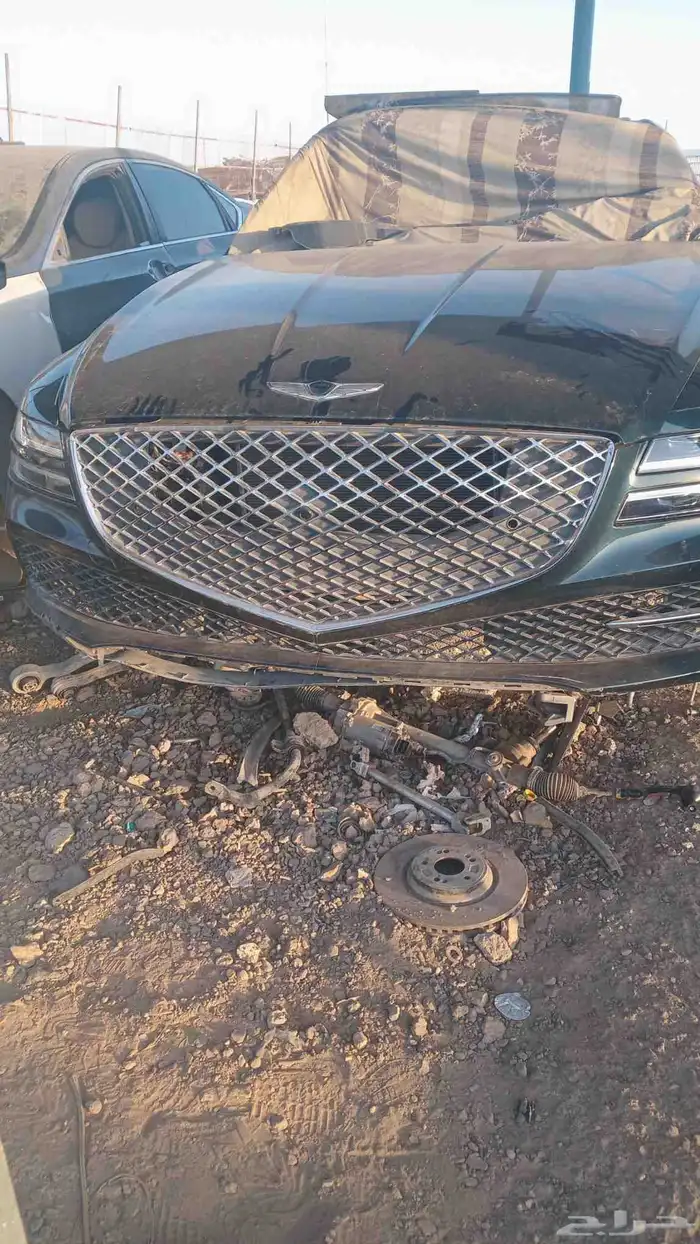 تشليح الحاير والسلي 6