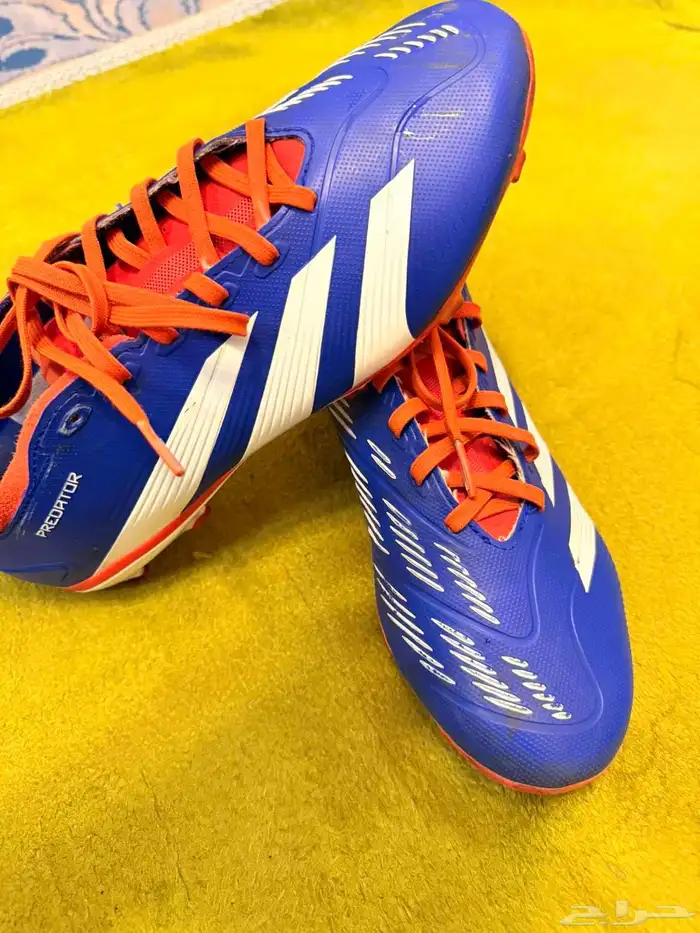 حذاء كره قدم اديداس predator مستعمل 7