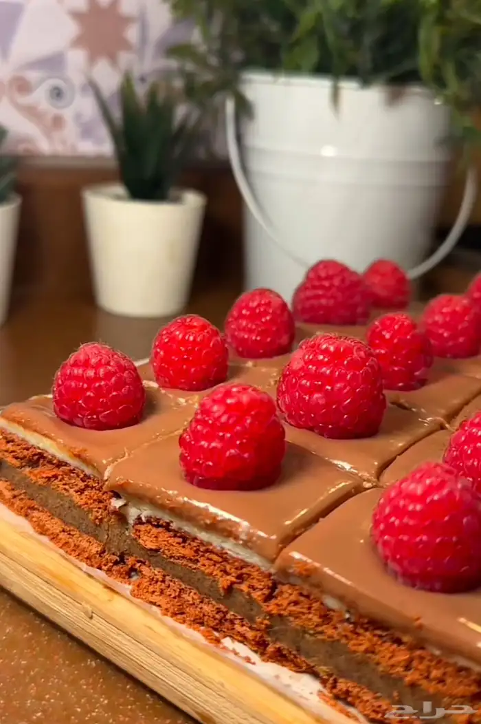 كاسات التشيز-حلا الجوزاء 1