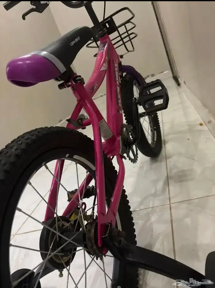 كوبرا للبيع 0