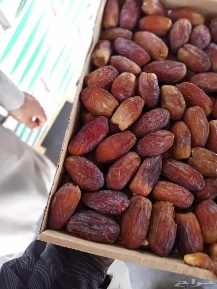 السلام عليكم ورحمه الله وبركاته صقعي. مجدول. عجوه. عنبره 6