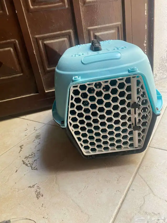 بوكس قطط للبيع للسوم تواصل خاص 4