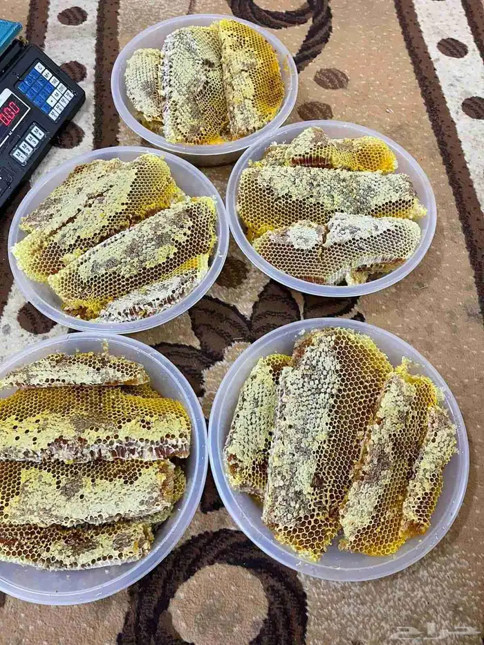 بلاد العوامر 1