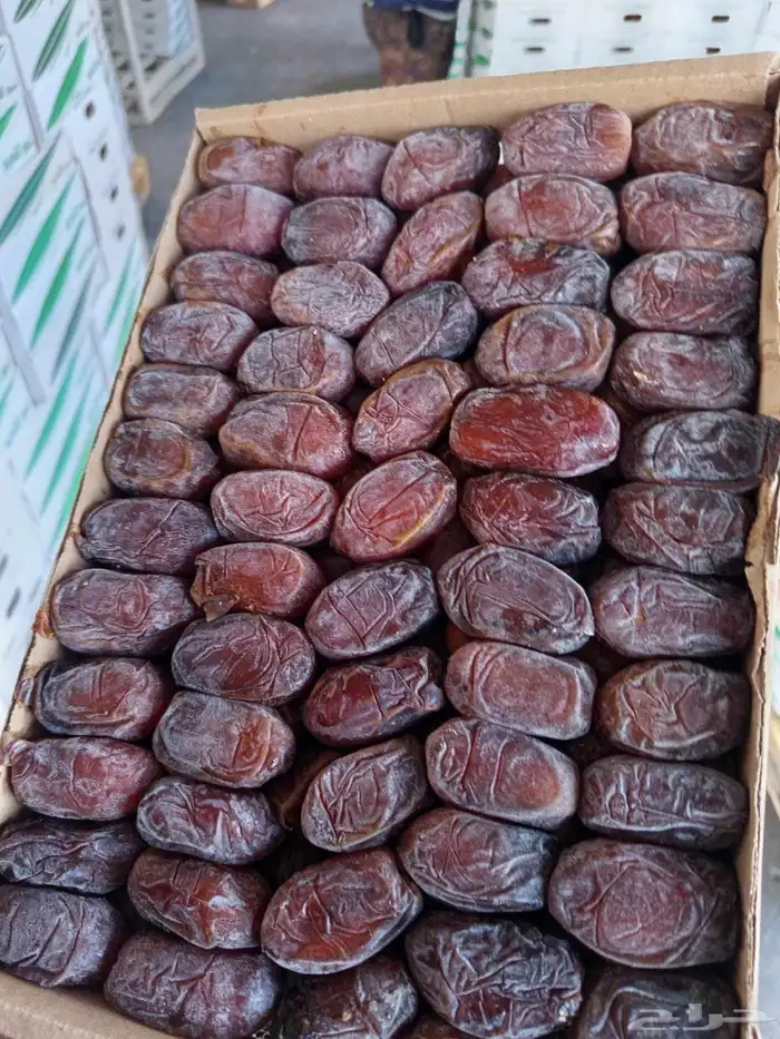 السلام عليكم ورحمه الله وبركاته صقعي. مجدول. عجوه. عنبره 2