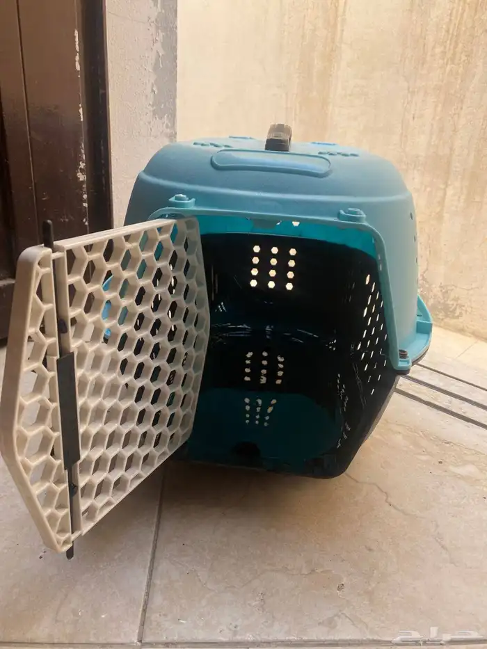 بوكس قطط للبيع للسوم تواصل خاص 0