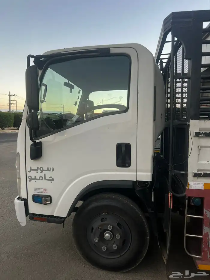 دينا سوبر جامبو مديل 2016 1