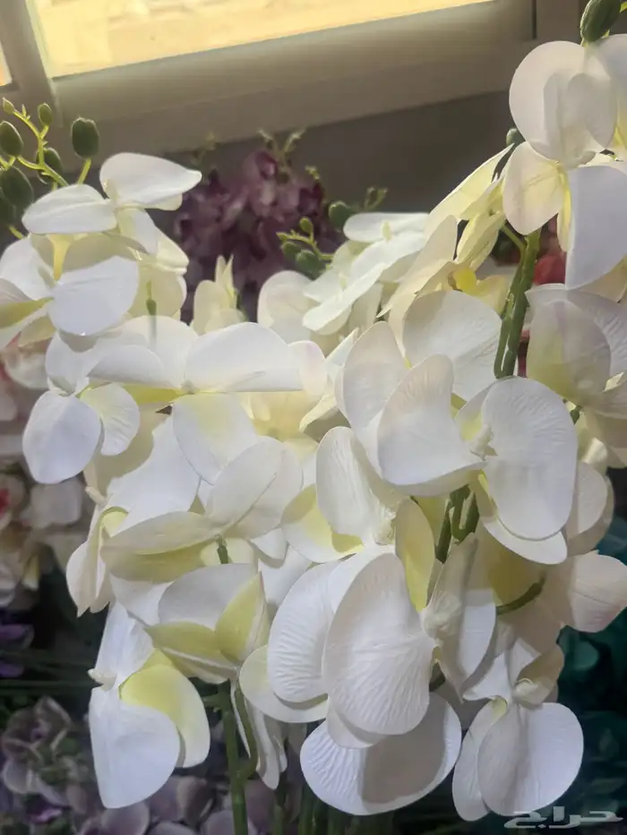 هدايا تغليف اكسوارات 86