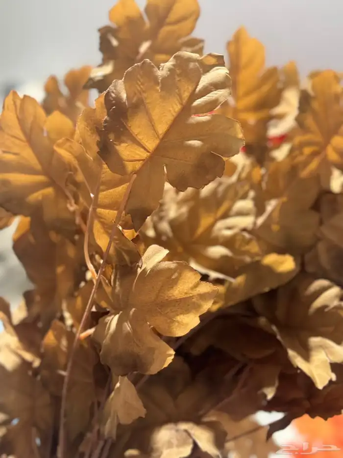 هدايا تغليف اكسوارات 43