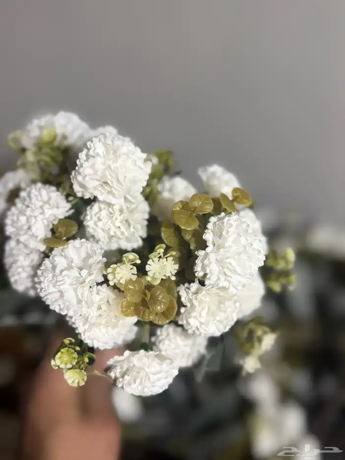 هدايا تغليف اكسوارات 59