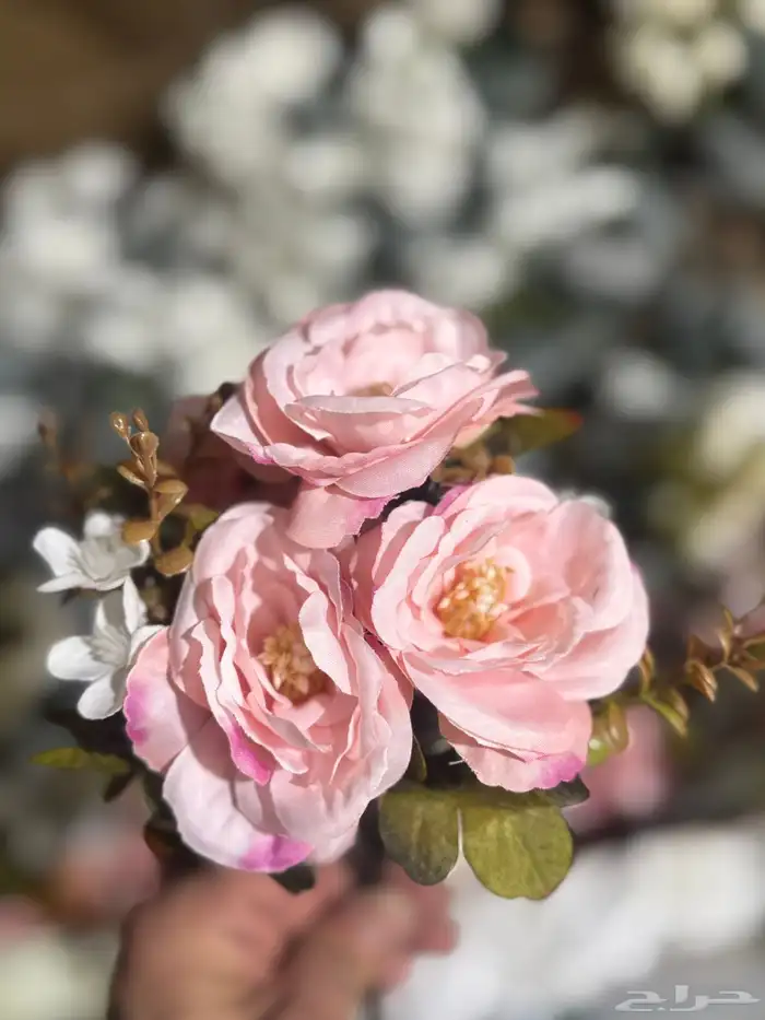 هدايا تغليف اكسوارات 52