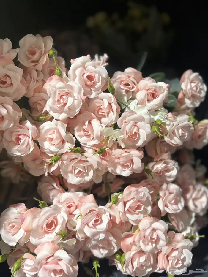 هدايا تغليف اكسوارات 47