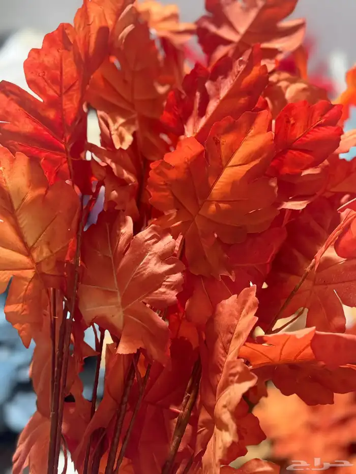 هدايا تغليف اكسوارات 44