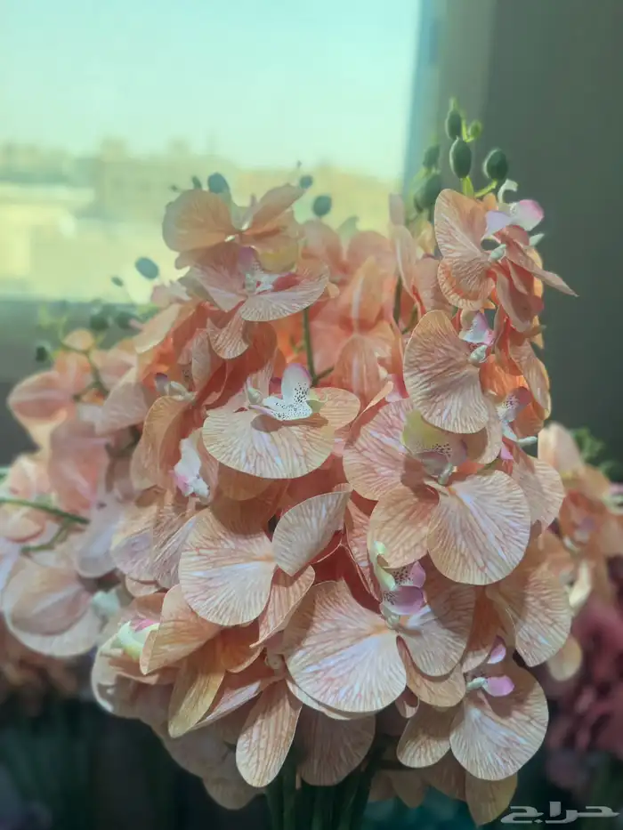 هدايا تغليف اكسوارات 88