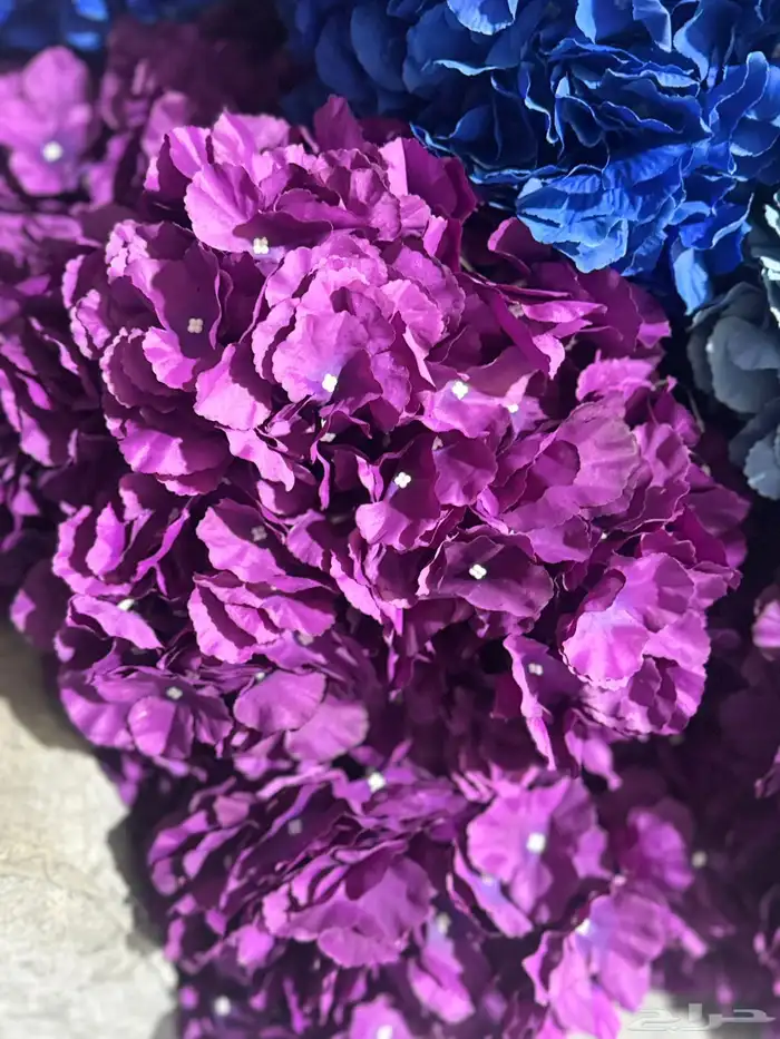 هدايا تغليف اكسوارات 70