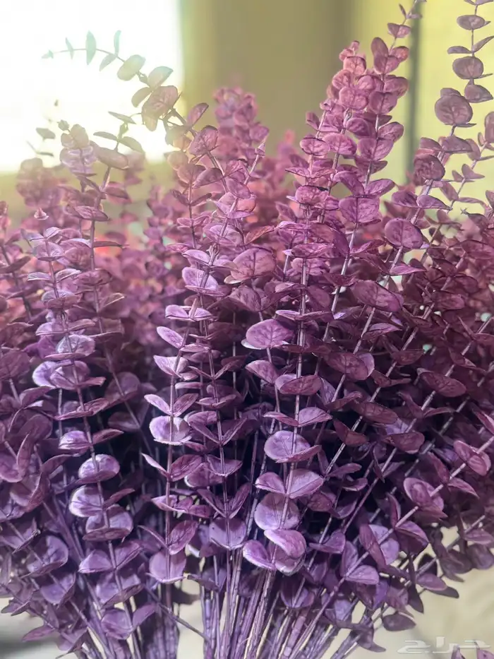 هدايا تغليف اكسوارات 77