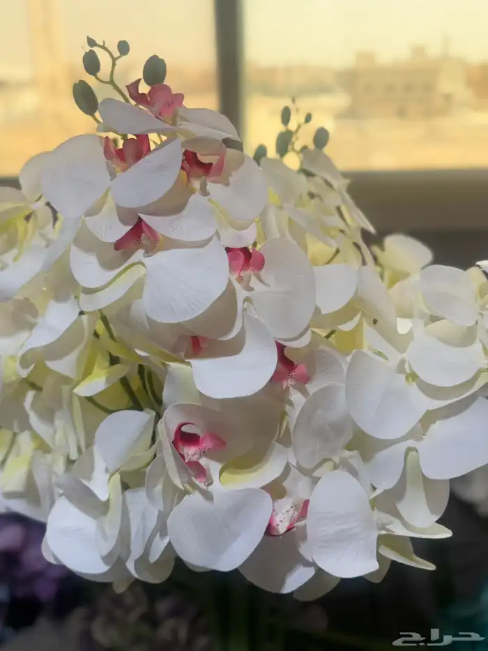 هدايا تغليف اكسوارات 84