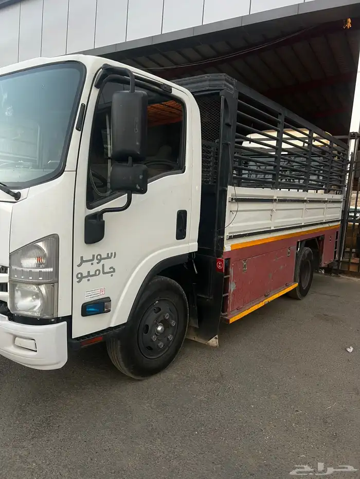 دينا سوبر جامبو مديل 2016 0