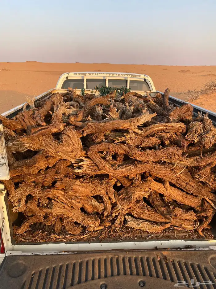 للبيع صندوق هايلكس يابس 1