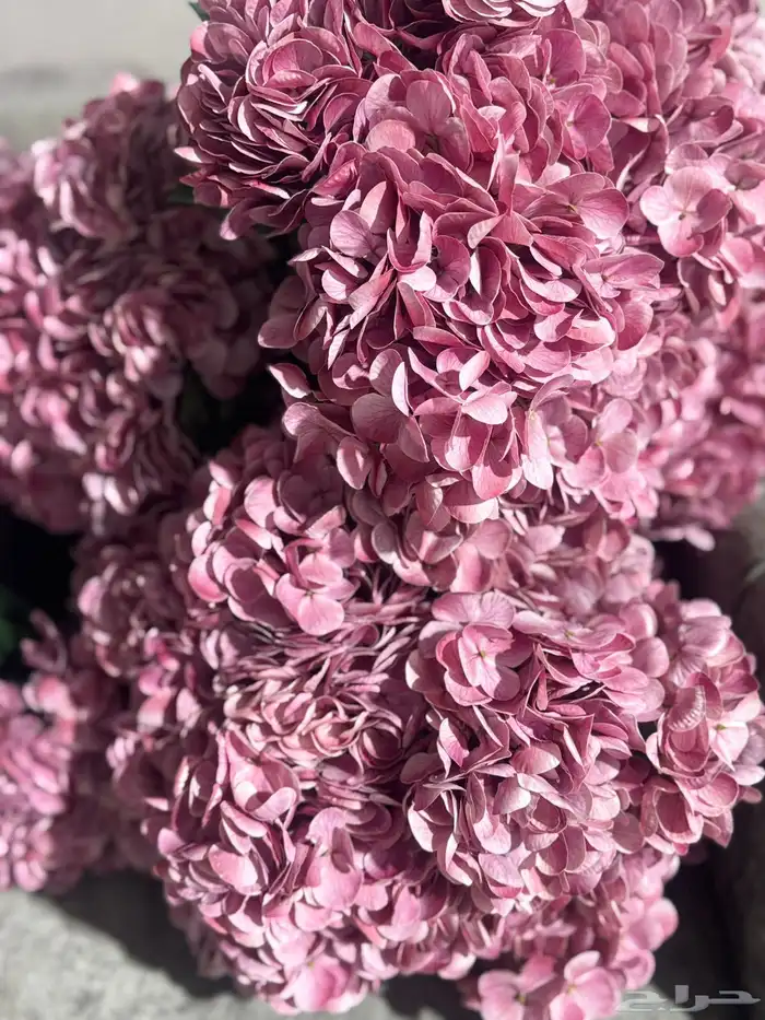 هدايا تغليف اكسوارات 72