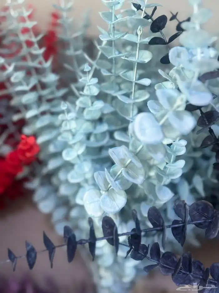 هدايا تغليف اكسوارات 74