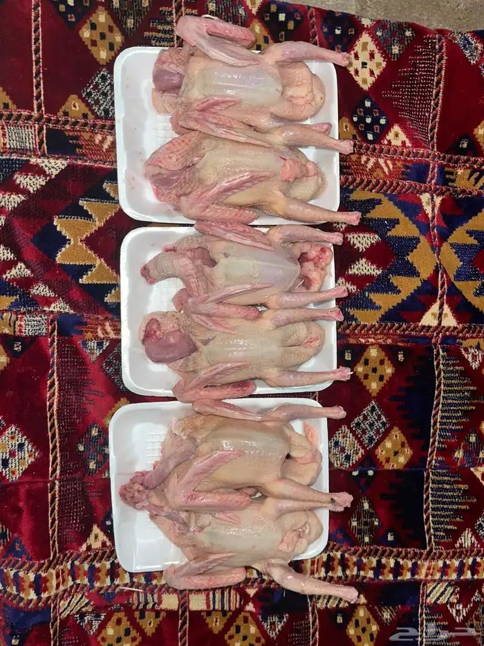 حمام سوبر جامبو 3