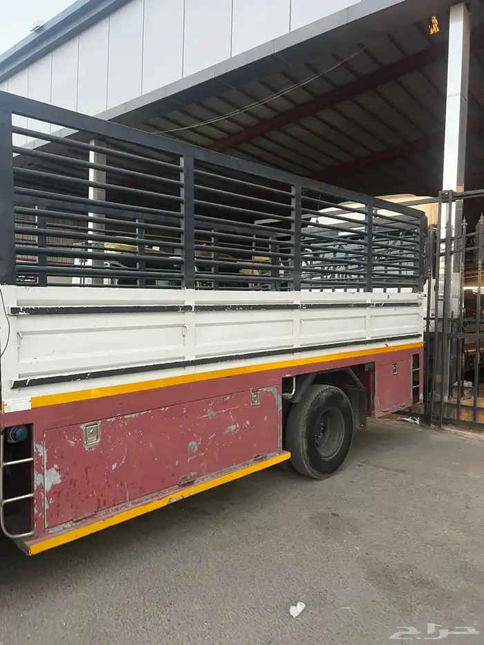 دينا سوبر جامبو مديل 2016 2