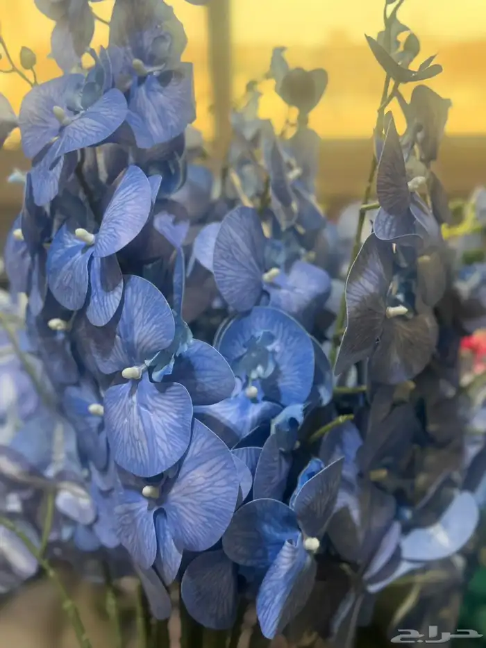 هدايا تغليف اكسوارات 94