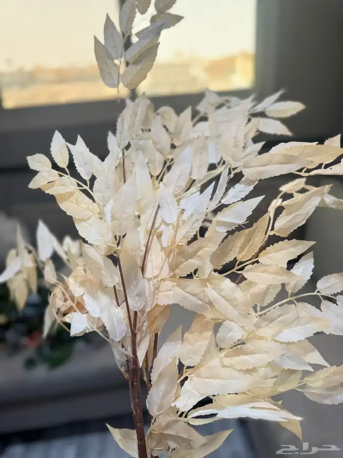 هدايا تغليف اكسوارات 34