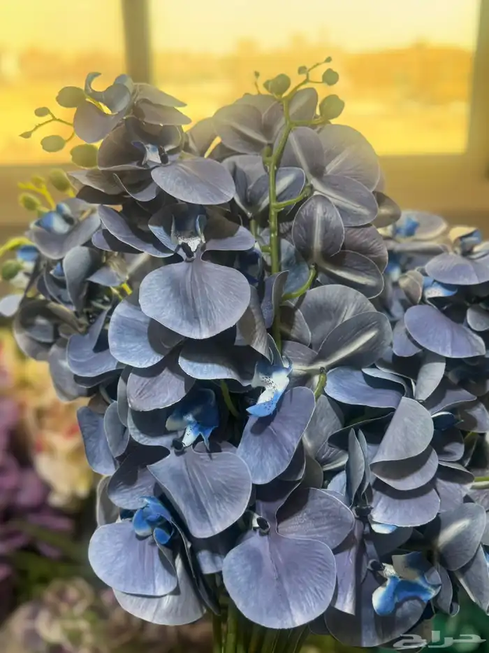 هدايا تغليف اكسوارات 82